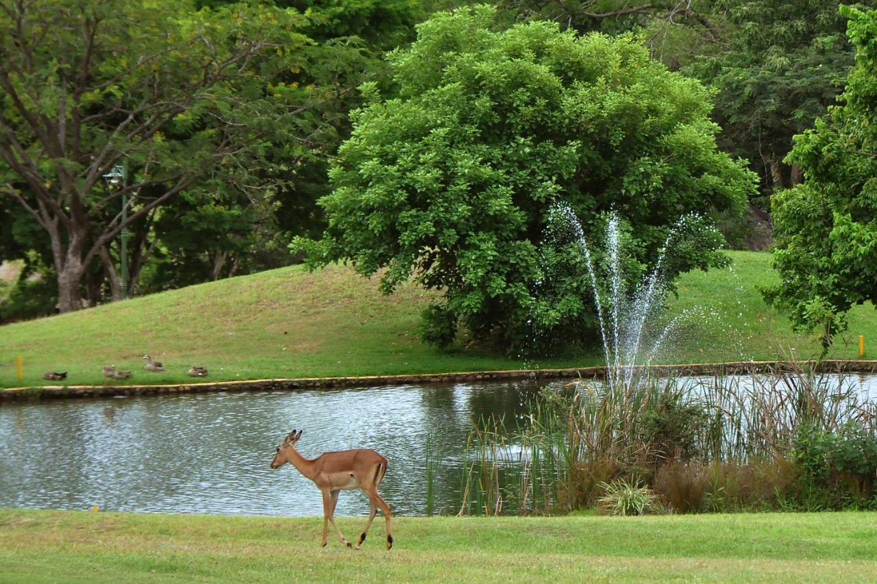 Kruger Park Lodge Unit No. 610B Hazyview Eksteriør bilde